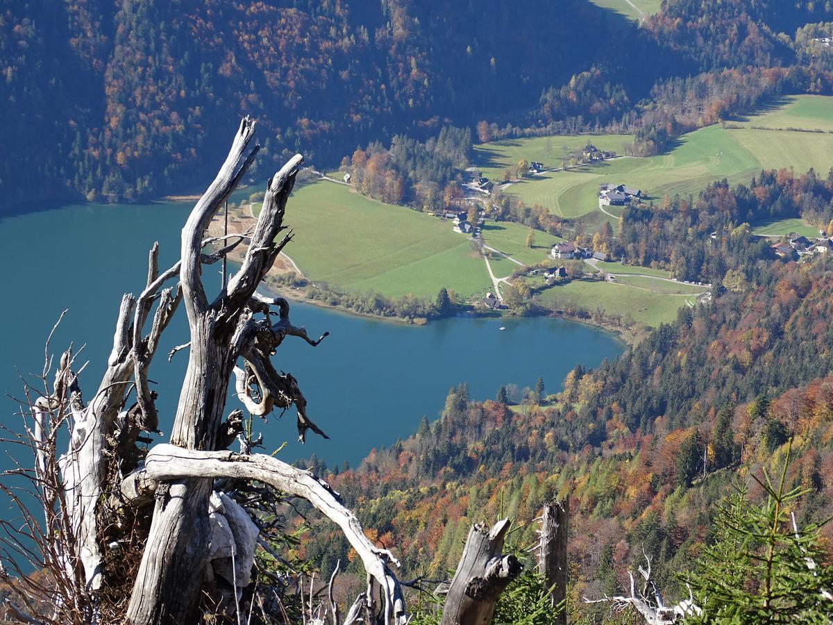 Pension Bayrhammer Faistenau Exteriér fotografie